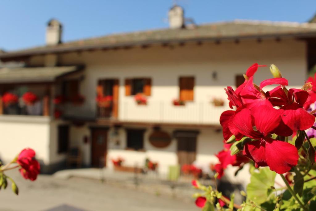 Agriturismo Au Jardin Fleuri Antey-Saint-André Exteriér fotografie